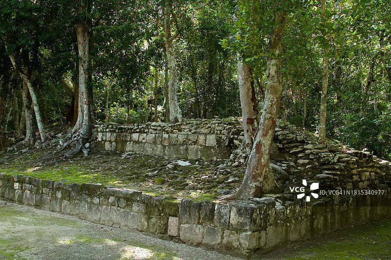 卡拉克穆尔树顶遗址图片素材