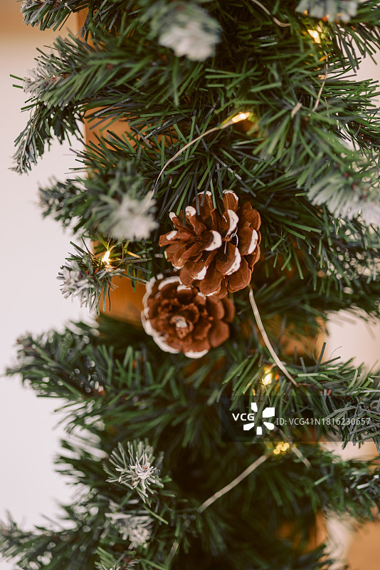 圣诞节绿色云杉上的松果特写图片素材