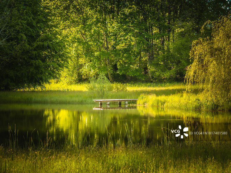 千塘高原小芬兰地区池塘中的小木制码头，法国东部图片素材