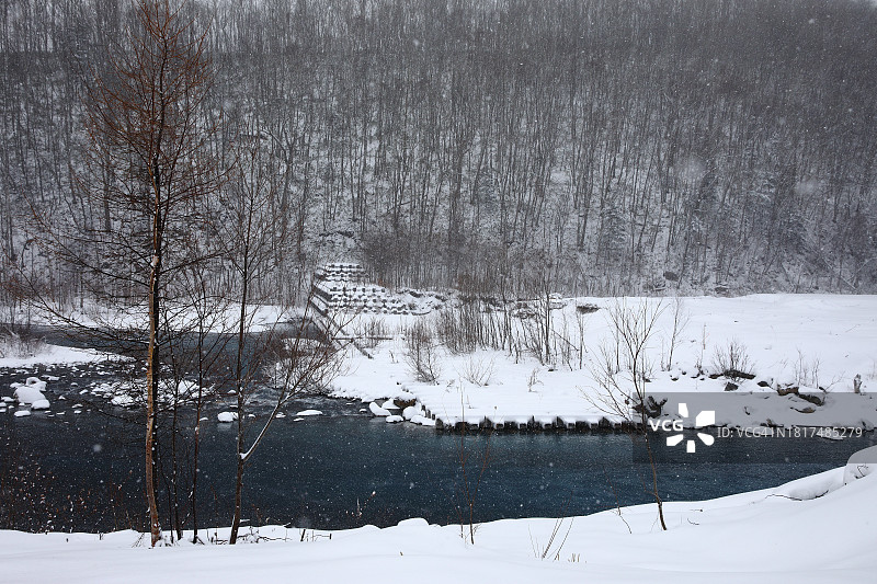 白金冬季雪景森林和蓝色池塘图片素材