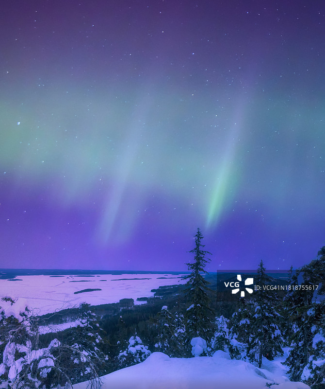 夜晚的冬季森林和北极光，科利国家景观图片素材