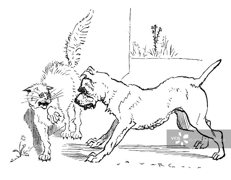 令猫咪烦恼的小狗图片素材