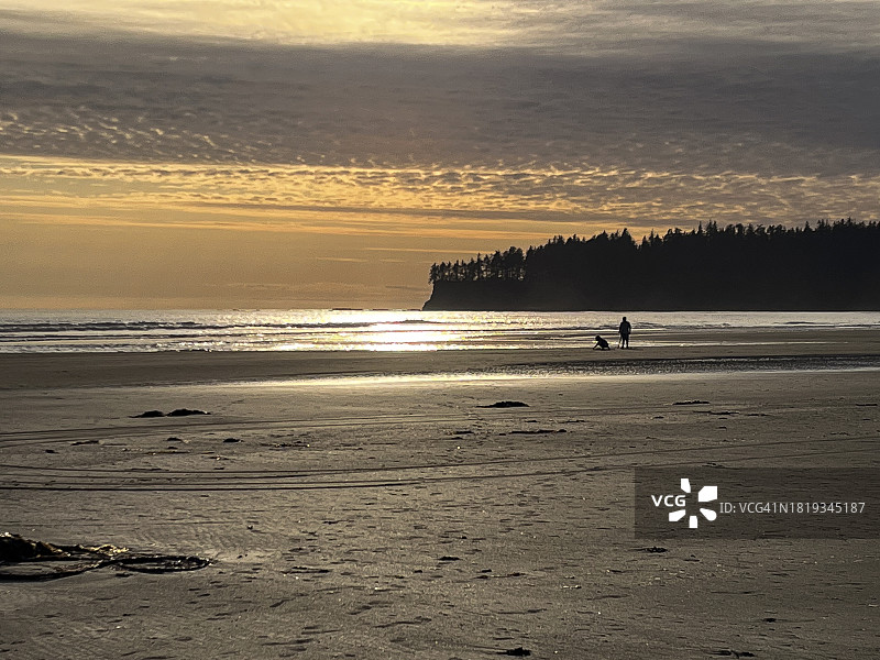 日落时海滩上的远处剪影图片素材
