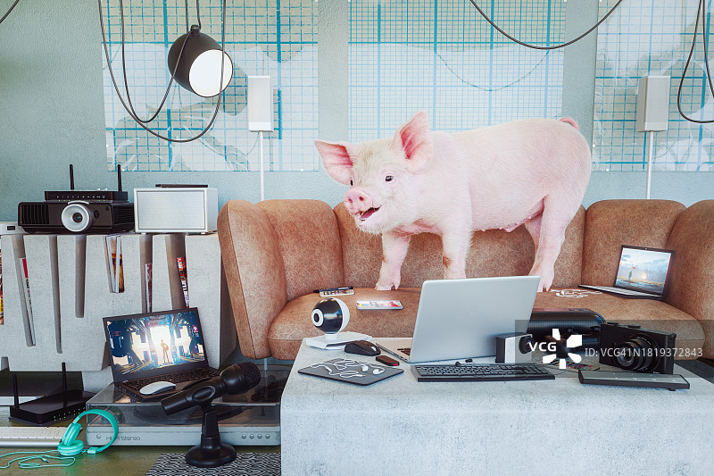 快乐的猪在无尽的数字内容创作产品中图片素材
