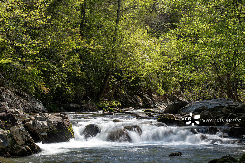小鸽河的春天图片素材