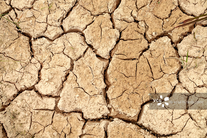 干裂土壤特写：气候变化下的生态灾难图片素材