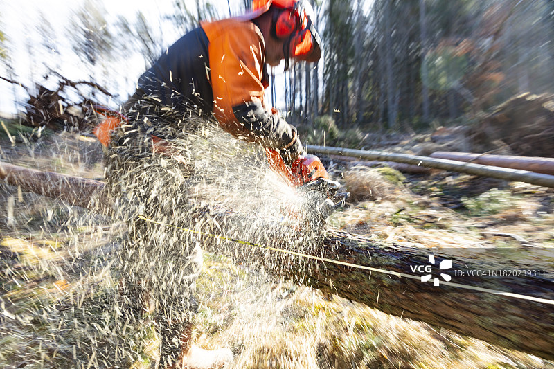 男人用电锯伐木图片素材
