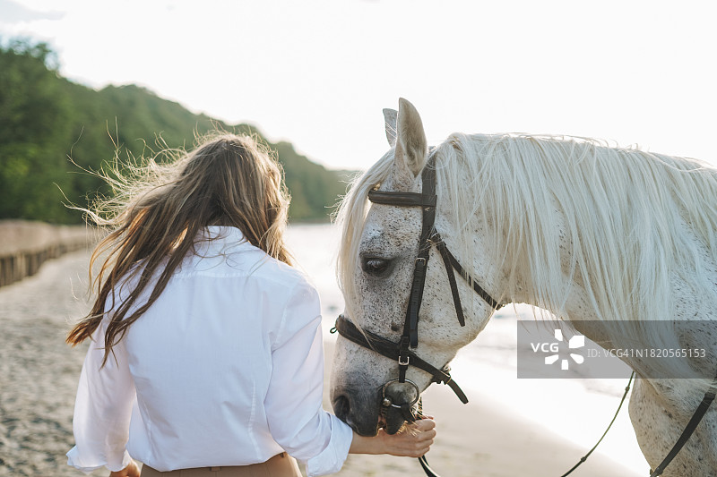 与纯种马在一起的女人图片素材