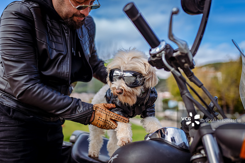 千禧一代男人和他的狗骑摩托车图片素材