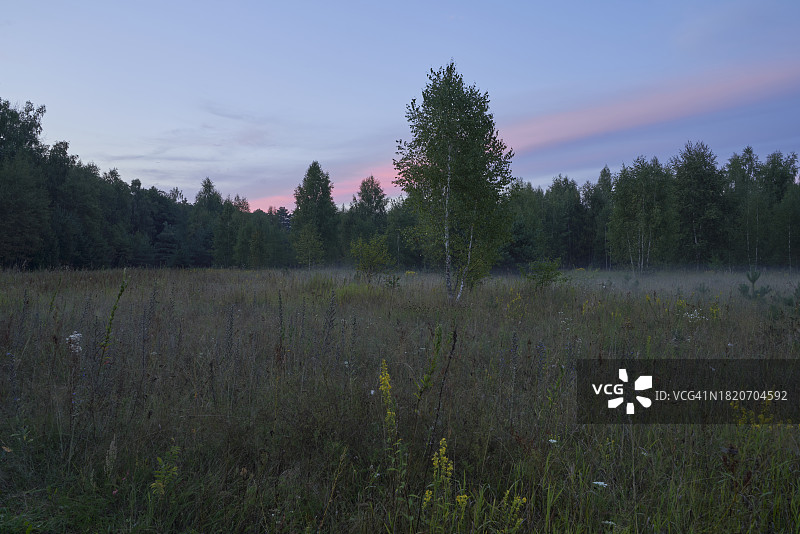 俄罗斯莫斯科州的田野风光图片素材