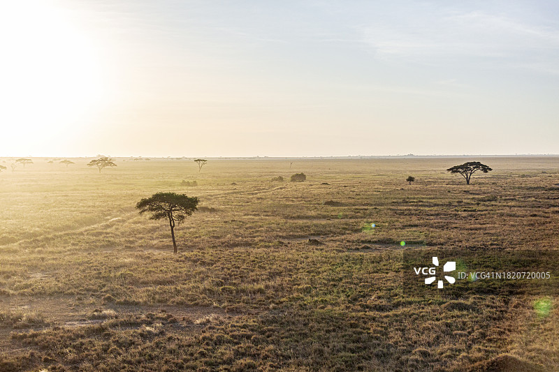 马在田野上吃草，天空为背景图片素材