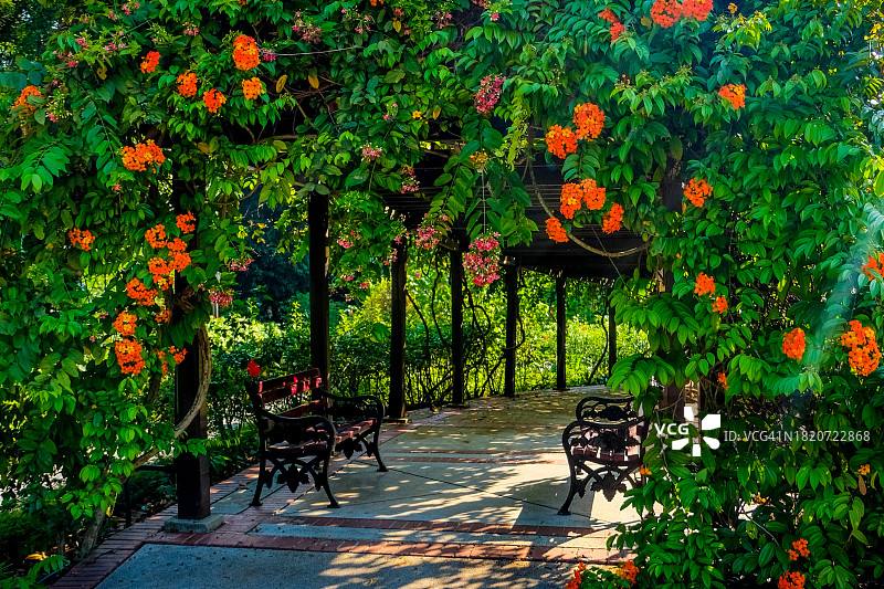 公园里的空长椅图片素材