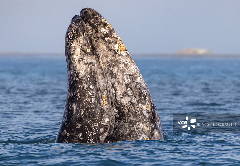 晴空下海中岩石的特写镜头图片素材