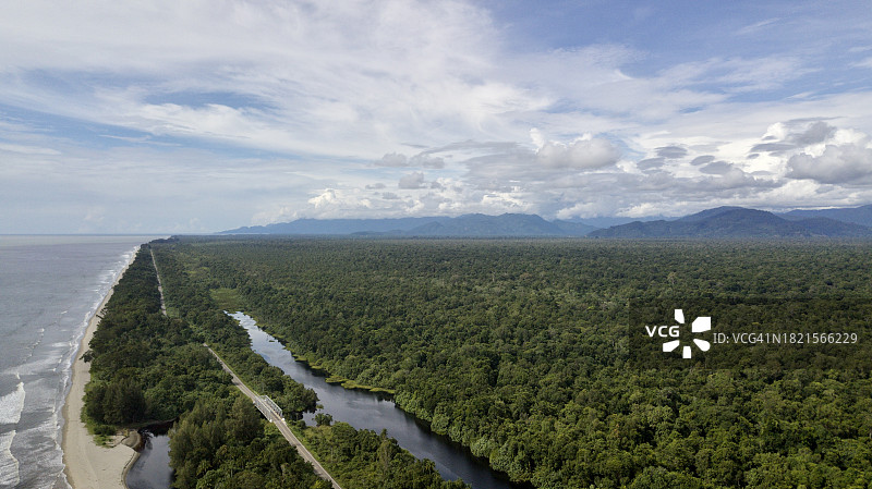 亚齐低地热带雨林图片素材