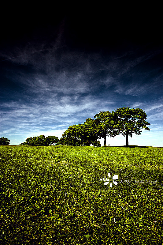 夏天的风景图片素材