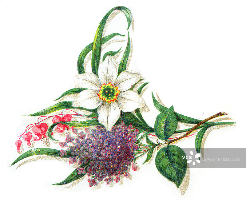 复古风彩色花卉雕刻图片素材