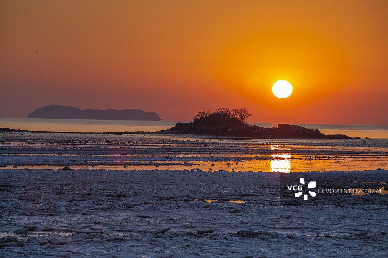 白头翁花，韩国旌善郡旌善邑图片素材