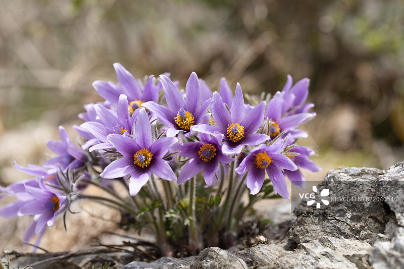 韩国忠清北道清州市相当区文义面寒求图片素材