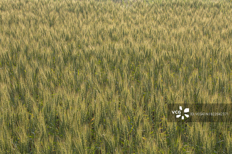 韩国安养市水滴景观图片素材