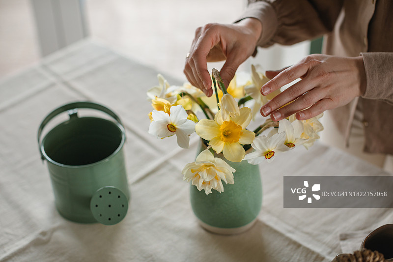 女人在花瓶里整理一束水仙花的特写图片素材