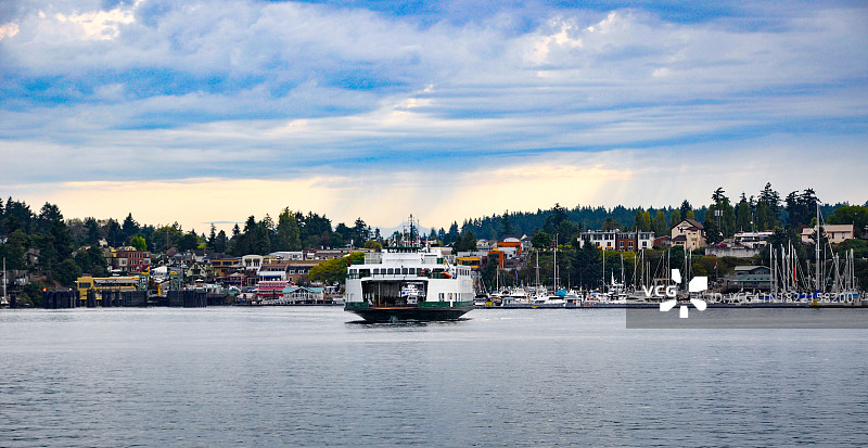 驶近美国华盛顿州圣胡安岛星期五港的渡轮图片素材