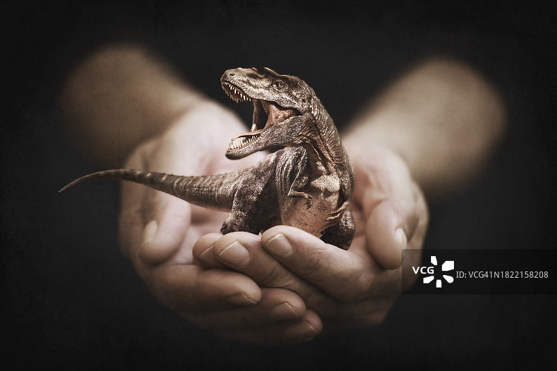 手持迷你霸王龙恐龙的人的特写图片素材