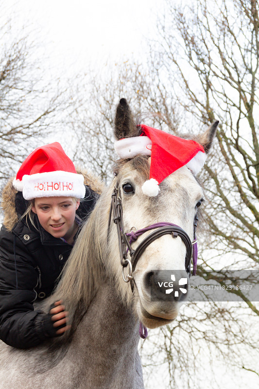 圣诞节到了，漂亮的少女和她的灰马在英国乡村户外庆祝圣诞季，戴着红色和白色的圣诞帽图片素材