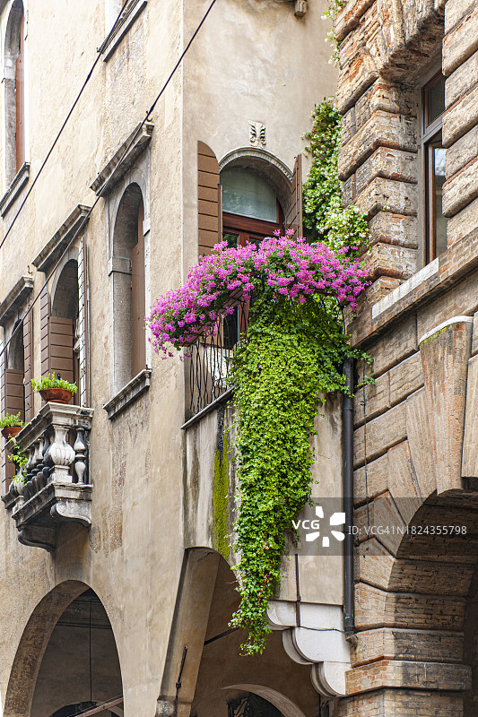 特雷维索阳台上的鲜花图片素材