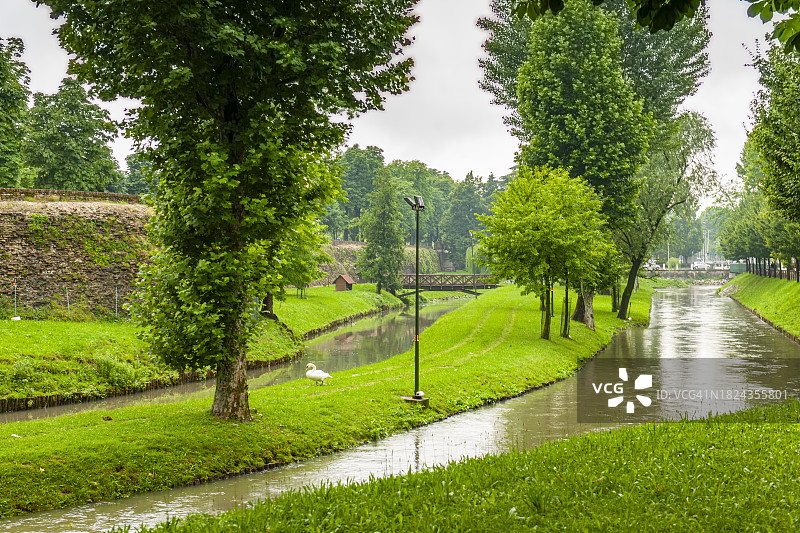 威尼托特雷维索市的运河图片素材