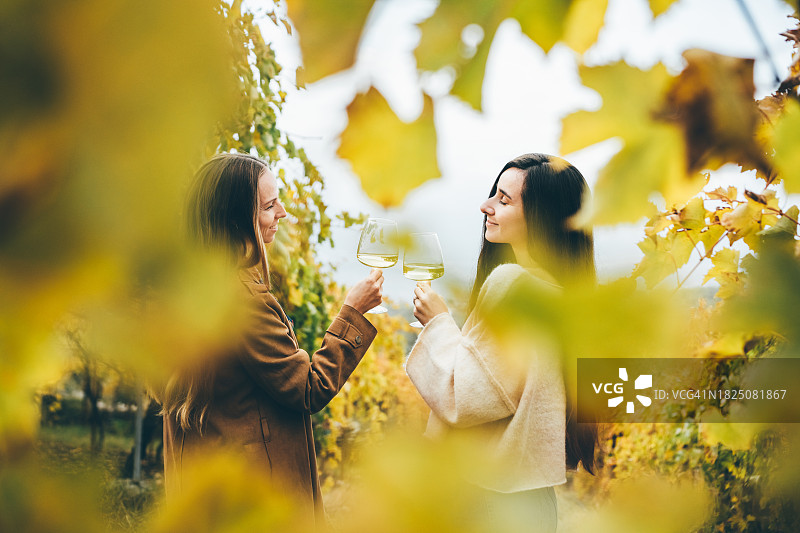 在秋季酒庄品尝葡萄酒的女人图片素材