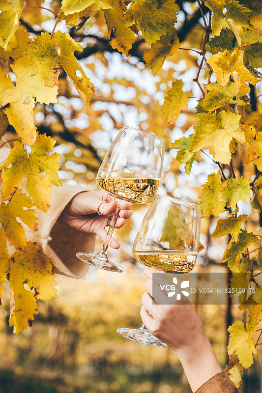 女人的手在葡萄园里端着一杯白葡萄酒。在酿酒厂的露天餐厅品酒。葡萄生产和酿酒的概念图片素材