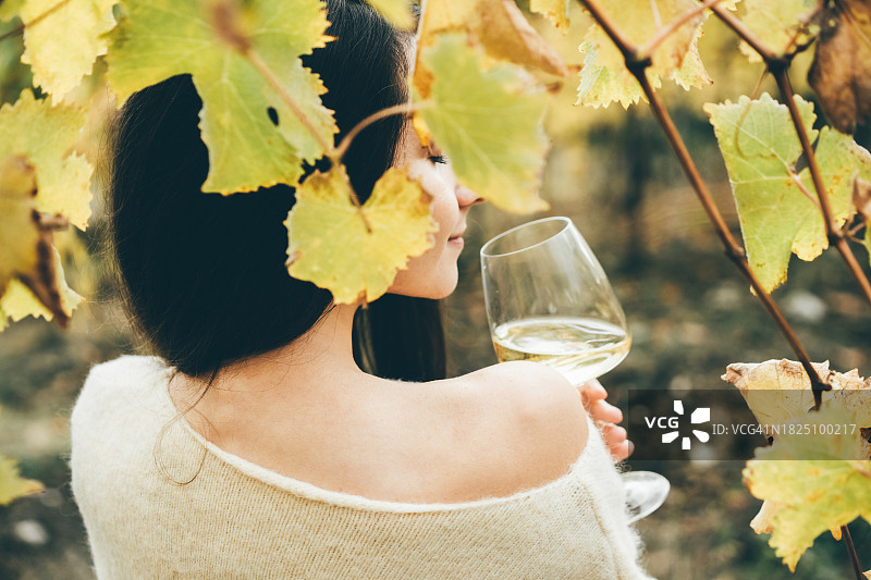 在秋季酒庄品尝葡萄酒的女人图片素材