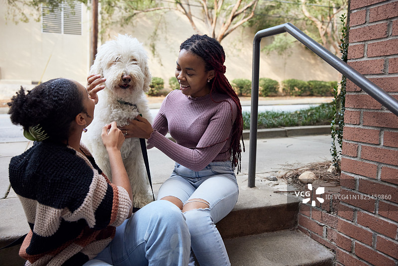 两位大学生在撸狗图片素材