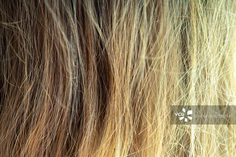 女性头发纹理背景全画幅照片图片素材