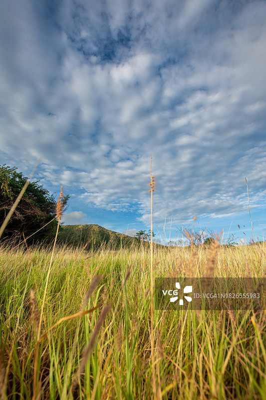 在马卡瑙徒步旅行：沙漠中的山地之旅，走向山区，红色土地、灌木和山脉图片素材