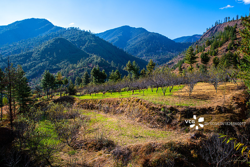 拉拉湖徒步之旅：前往喜马拉雅湖泊女王的旅程图片素材