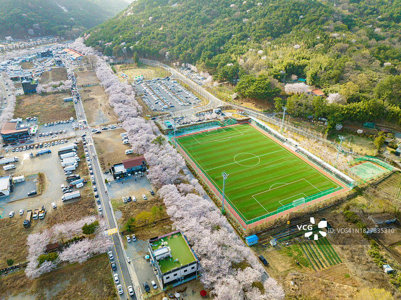 鹊川亭樱花路鸟瞰图图片素材