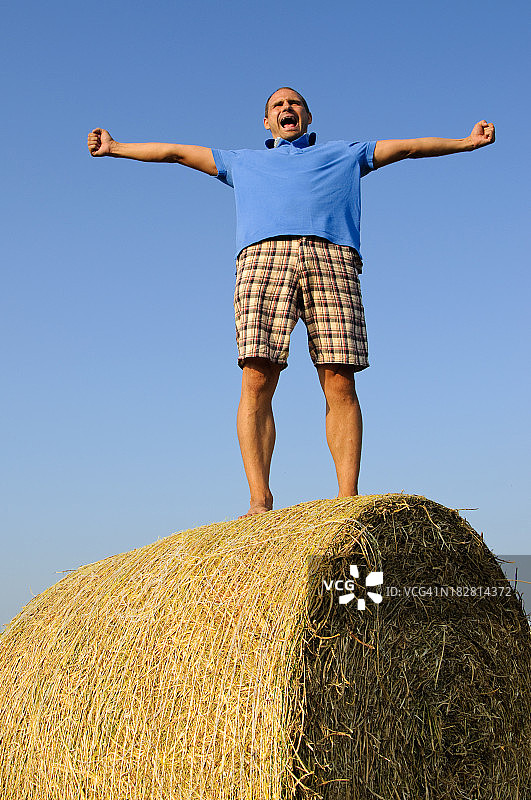 站在草堆上喊叫图片素材
