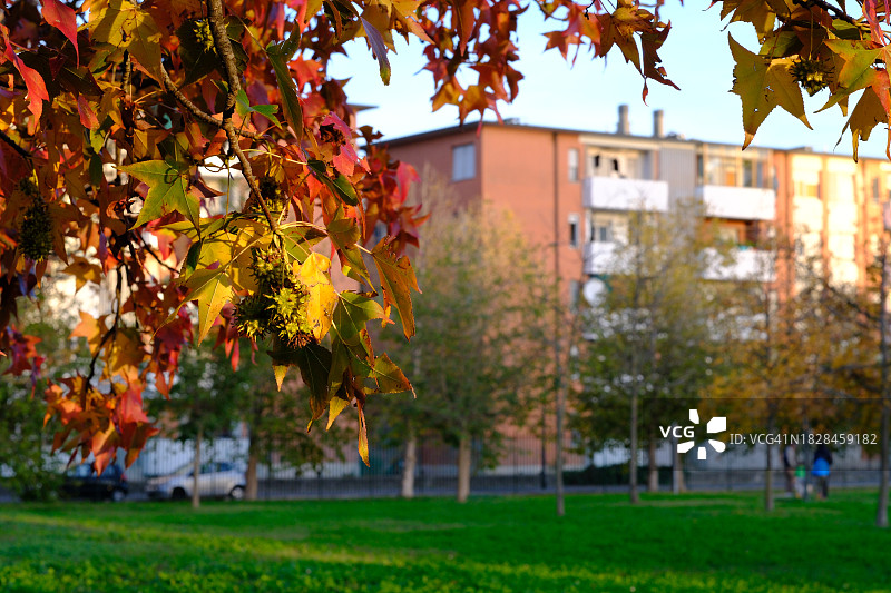 带公园的住宅区建筑外墙图片素材