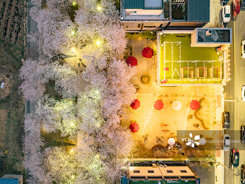 夜晚的鹊川亭樱花路鸟瞰图图片素材