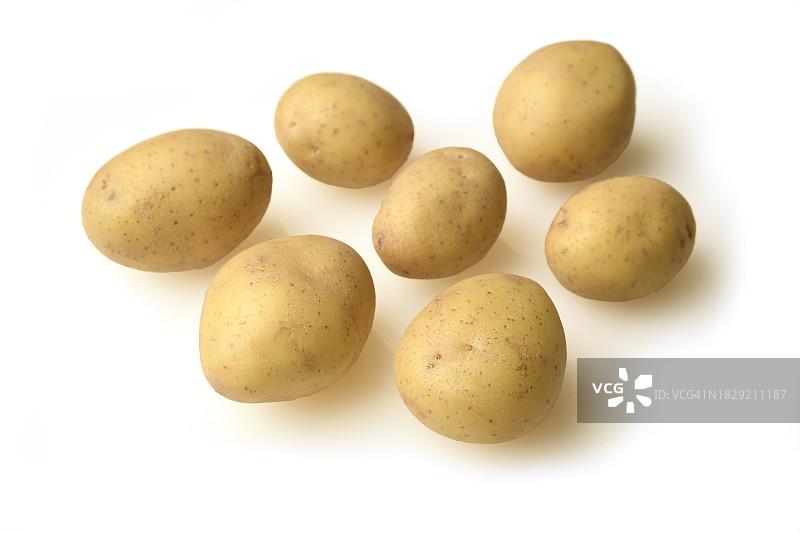 小金土豆图片素材