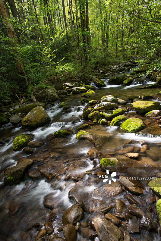 大雾山国家公园的瀑布图片素材