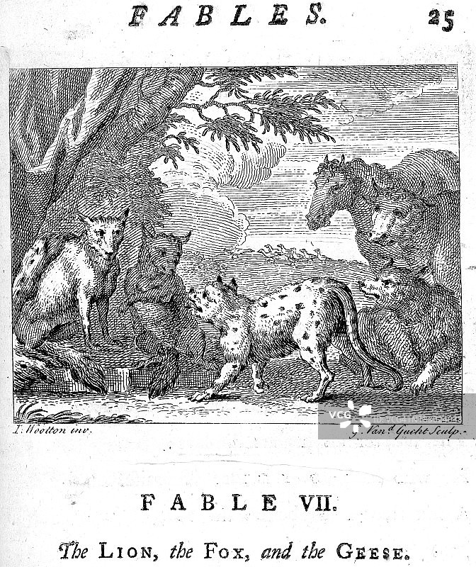 狮子、狐狸与鹅图片素材