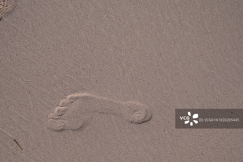 湿沙上的足迹图片素材
