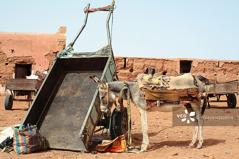 摩洛哥厢型车图片素材