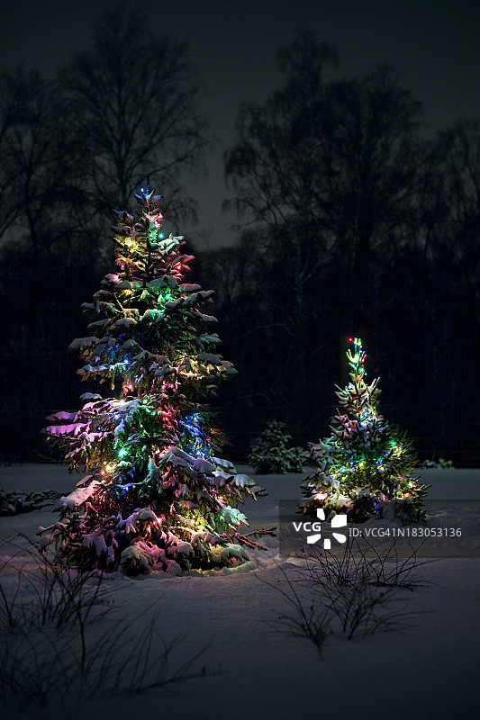 雪夜中的圣诞树图片素材