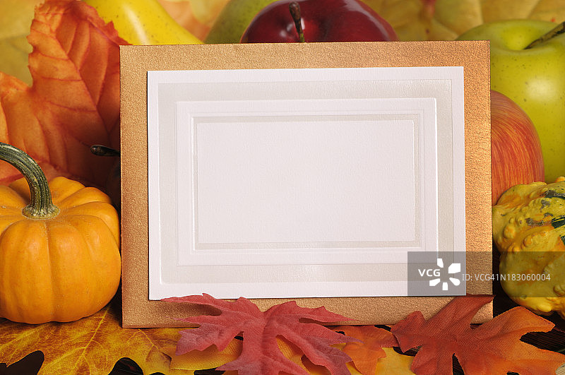 空白感恩节贺卡图片素材