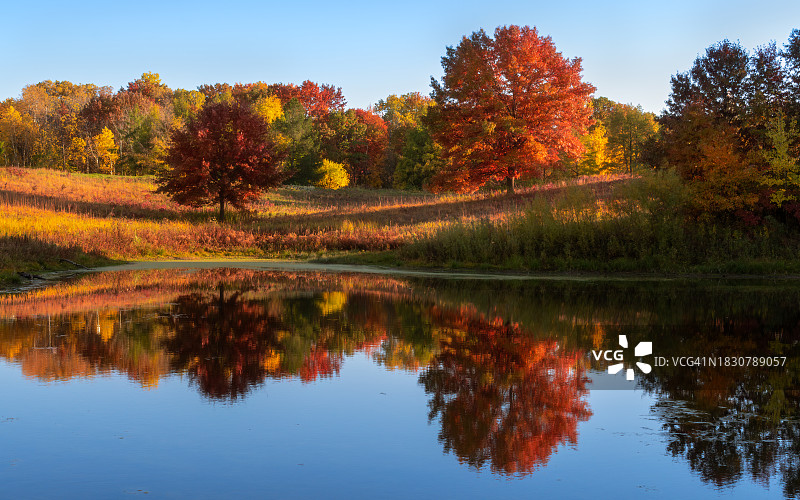 秋季湖面倒影树木图片素材