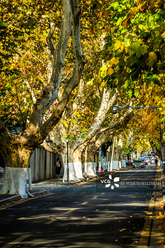 南京颐和路图片素材