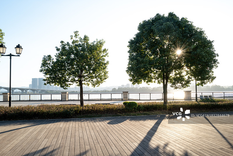 阳光明媚的户外木地板图片素材